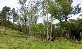 Imagem 7: Linda Chacara em São Paulo mais de 12.000 metros