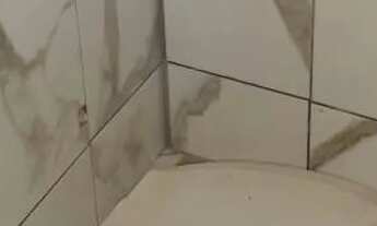 Imagem 6: Vendo 4 casas conjuntas