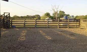 Imagem: Fazenda de 517 hectares na região entre