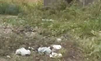 Imagem: Terreno Asa Branca