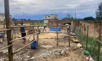 Imagem 4: Lote em Esmeralda