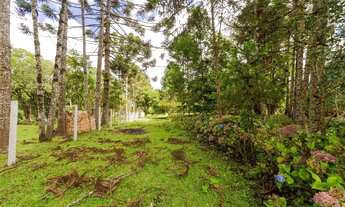 Imagem 4: Terreno à venda em Colombo