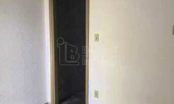 Imagem 4: Locação de Casas / Padrão na cidade de Araraquara