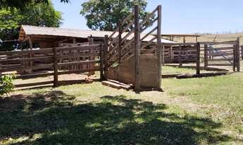 Imagem 4: Excelente fazenda para venda tem 943400 metros quadrados com 3 quartos
