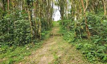 Imagem 2: Chácara no Passaúna com 3 dormitórios à venda, 40000 m² por R$ 4.950.000 - Ferraria - Camp