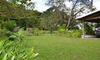 Imagem 3: Granja no conde Chácara com venda por R$850.000