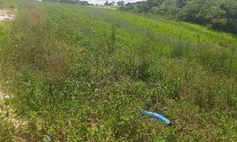 Imagem 2: Terreno para chácara