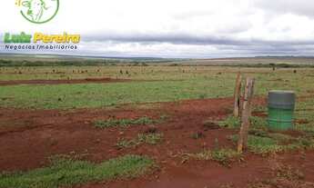 Imagem: FAZENDA Á VENDA EM RIBAS DO RIO PARDO