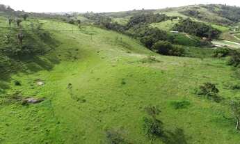Imagem 2: Fazenda com 20 Hectares em Chã Grande-PE