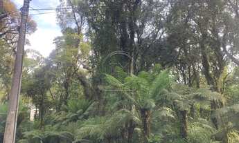Imagem 3: Terreno no Condomínio O Bosque em Gramado