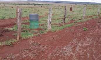 Imagem 2: FAZENDA Á VENDA EM RIBAS DO RIO PARDO - MS - DE 2.007 HEC.(DUPLA APTIEDÃO
