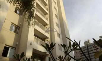 Imagem 1: Apartamento - Cambuí - Campinas