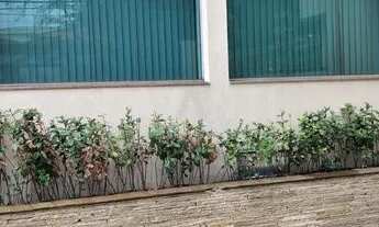 Imagem 3: Prédio - Jardim Guanabara - Campinas