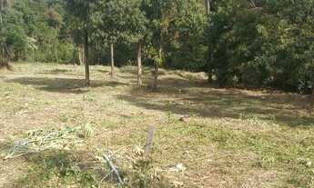 Imagem 6: Terreno à venda, 6041 m² por R$ 1.500.000,00 - Pinheiros - Londrina/PR