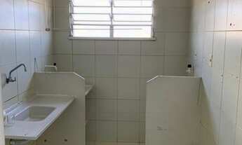 Imagem 3: Parque das árvores !