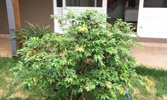 Imagem 7: Casa com 3 dormitórios à venda, 203 m² por R$ 1.100.000,00 - Cidade Universitária II - Cam