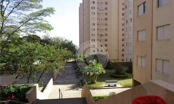 Imagem 4: LINDO APARTAMENTO NO BONFIGLIOLI