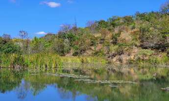 Imagem 4: Excelente Oportunidade Terrenos 20.000m² Pagamento Facilitado