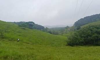 Imagem: Ótima oportunidade lindo sítio 5 alqueires