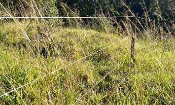 Imagem 7: Chácara 1400m² à 1800m², Parcelado, Energia, Próximo Fazenda Jabuticabal, Aragoiânia