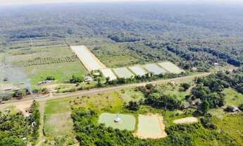 Imagem: Venda /Fazenda, Peixe, Alevinos Pres. Figueiredo