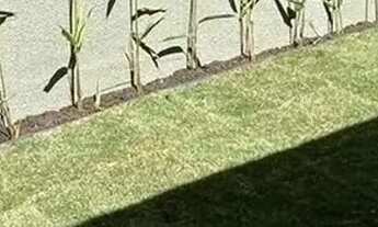 Imagem 9: Casa no Papagaio com Suíte Use Seu FGTS + Entrada a partir de R$ 25mil!