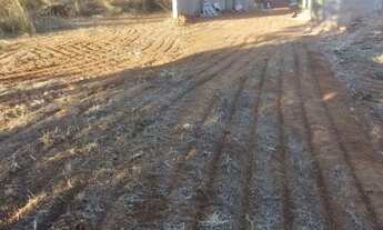 Imagem 6: Oportunidade Jardim Botânico!!!