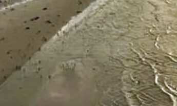 Imagem 3: SALINAS resort- Réveillon 29/12 a 5/01