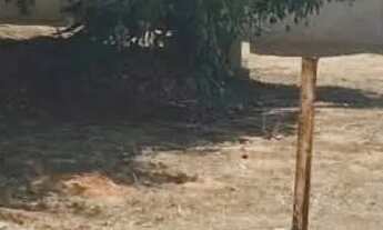 Imagem 5: Vendo terreno 750m² Jd Tarraf/Aclimação