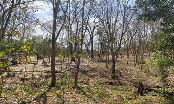 Imagem 7: Chácara com escritura no Coxipó do Ouro entre as vilas Arraial do Freitas e Coxipó do Ou