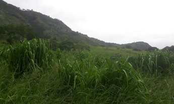 Imagem 4: Venda-se está propriedade de 43,5 no Município de Itaperuna/RJ