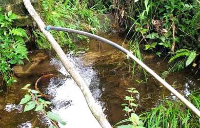 Imagem 4: Vendo excelente sítio em Valença Bahia