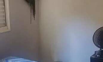 Imagem 7: CASA. JÁ FINANCIADA. PARCELA BARATA. DEIXA PAGAR NO NOME. BAIRRO CRISTO REDENTOR