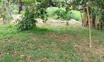 Imagem 6: Chácara para venda tem 10000 metros quadrados com 4 quartos em Ponte Alta Norte - Brasília