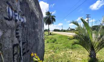 Imagem 2: Terrenao rodovia Airton Senna linha verde