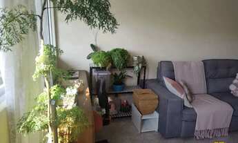 Imagem 5: Apartamento em Carvoeira