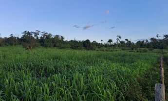 Imagem 4: Fazenda em Campos Novos Iracema