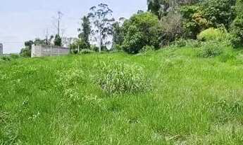 Imagem 7: TERRENO - PINHEIRINHO - SP