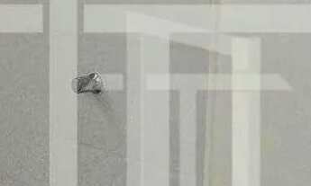 Imagem 7: Apartamento com 3 dormitórios à venda, 86 m² por R$ 430.000,00 - Jardim Country Club - Poç