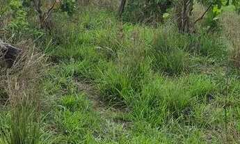 Imagem 5: Chácara, uruaçu Goiás 999.999,00