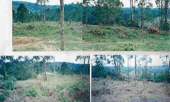 Imagem 7: AREA - INVERNADA - SP