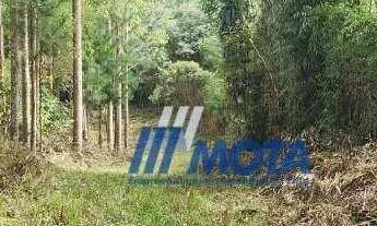 Imagem 7: Chácara à venda, com 7,7 alqueires ou seja 186700 m² por R$ 860.000 - Itaqui de Cima - Cam