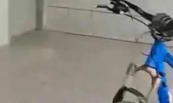 Imagem 3: Casa jardim Atlântico