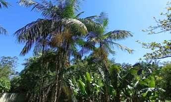 Imagem 2: Chacrinha Urbana | Escritura Pública | Casa Grande | Ótima Localização