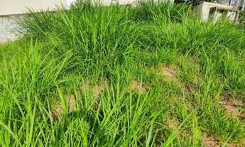 Imagem 4: Terreno à venda, 350 m² por R$ 400.000,00 - Granja Viana - Cotia/SP