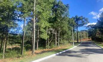 Imagem: TERRENO EM GRAMADO