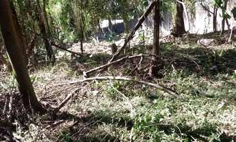 Imagem 4: Terreno à venda, 1459 m² por R$ 600.000,00 - Granja Viana - Cotia/SP