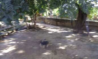 Imagem 2: Sítio no parque Santa Rita Dao Cristóvão