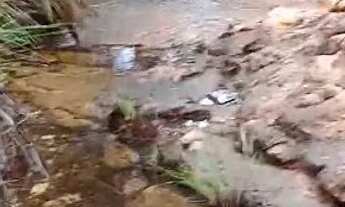 Imagem: Vendo um lote e 2 chácaras no Jalapão