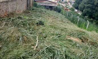 Imagem 2: Lote no frei Eustáquio